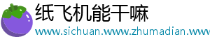 纸飞机能干嘛